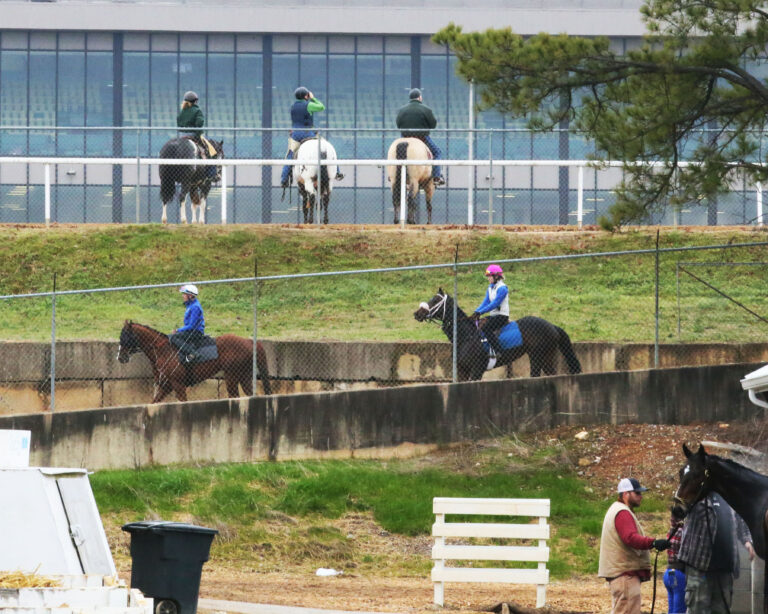 canterbury park extreme race day 2019