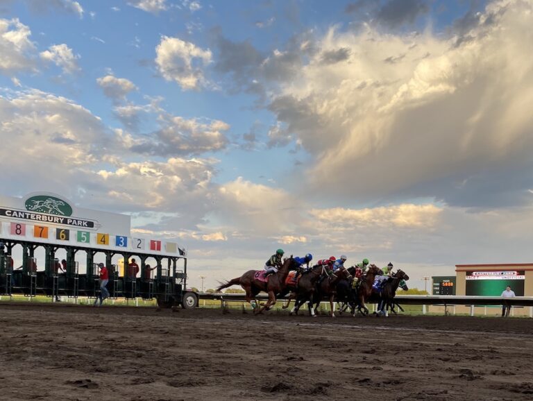 Live Horse Racing From Canterbury Park In Shakopee MN