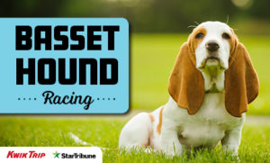 Basset Hound Racing