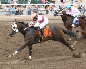 Quarter horse racing at Canterbury Park in Shakopee MN