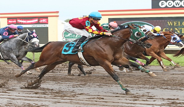 Runnin Red Barron - Ry Eikleberry All Time Leading Quarter Horse Rider at Canterbury Park - 06-04-15 - R02 - CBY 002