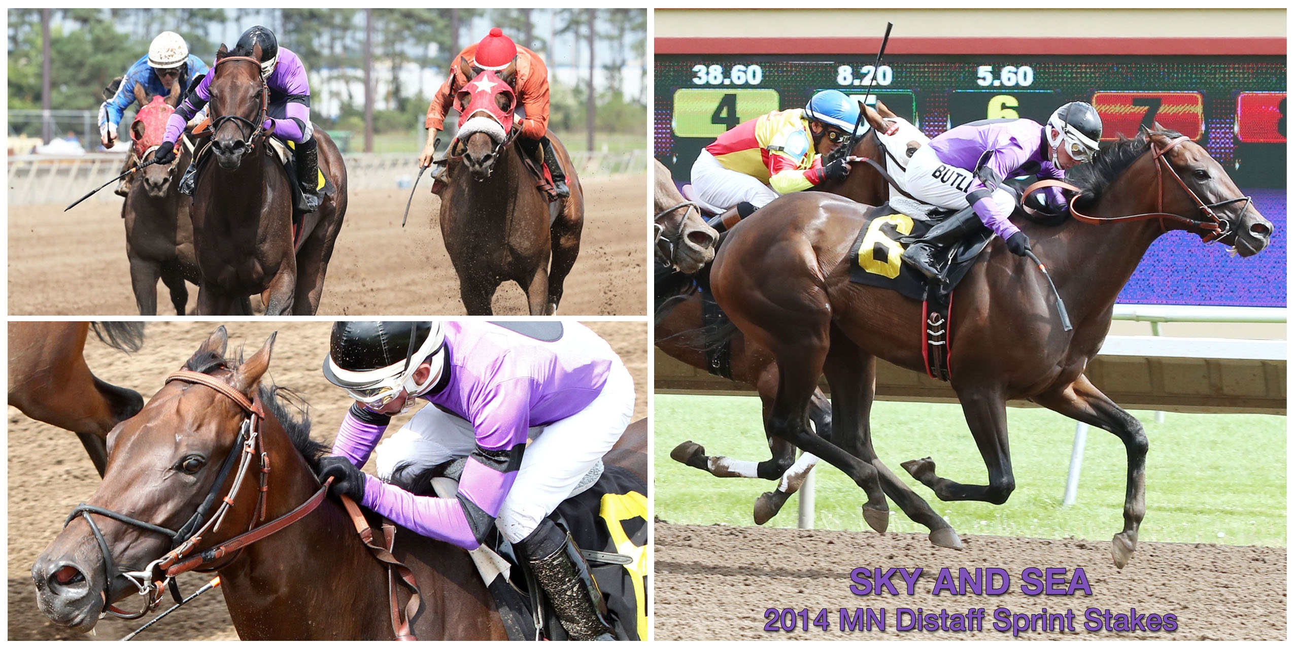 SkyAndSea_MN-Distaff-Sprint_600x300