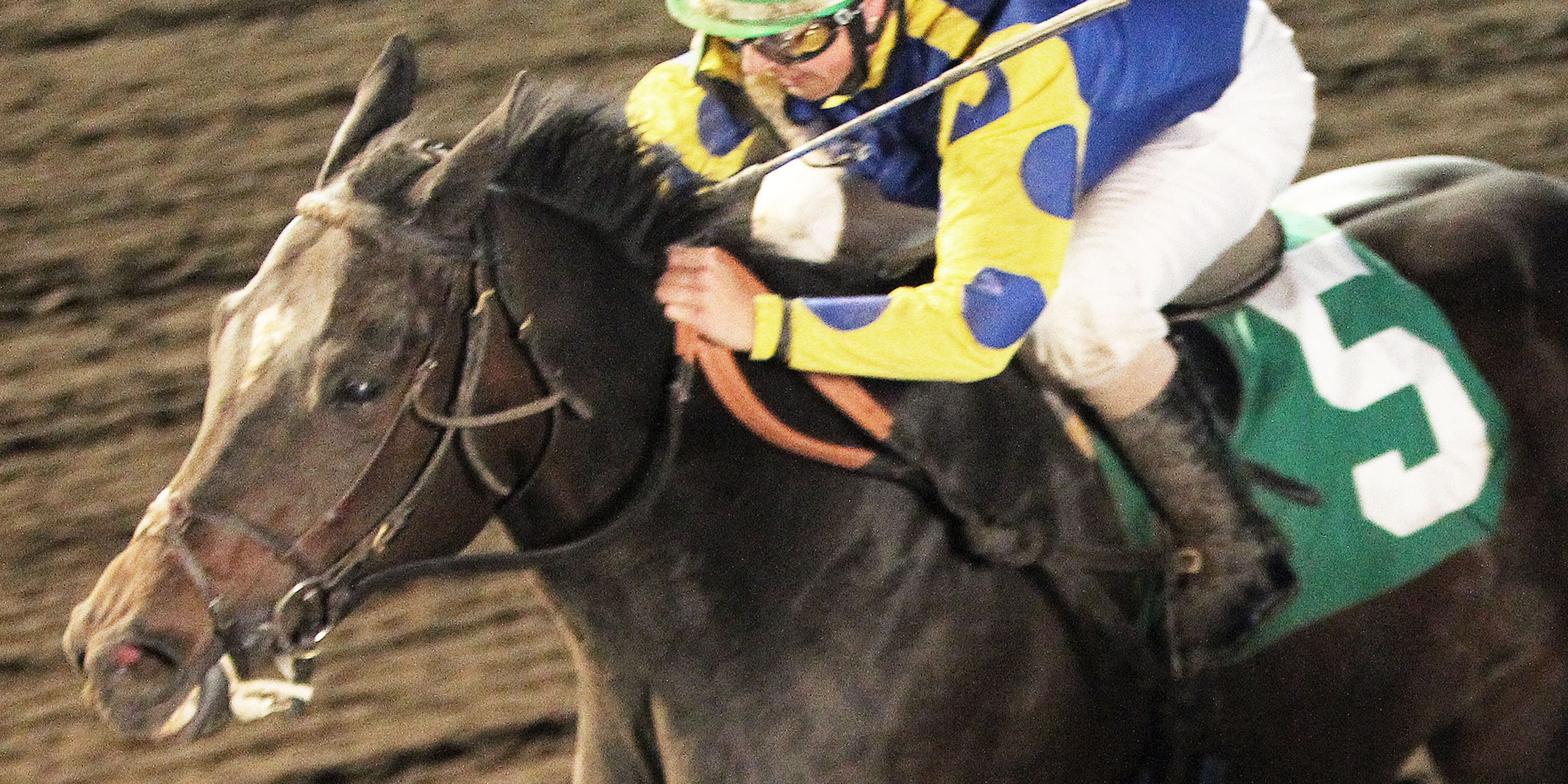Speakfromyourheart - 10000 Lakes Stakes - 05-16-14 - R06 - CBY - Inside Finish_600x300