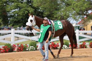 David Garcia – Minnesota HBPA Groom of the Week presented by Bravis Craft Mexican Kitchen and Luro Boots